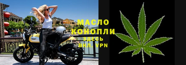 прущие грибы Ельня