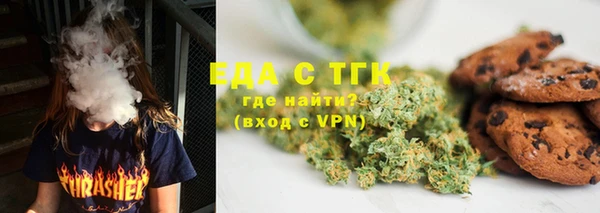 гашик Дмитров