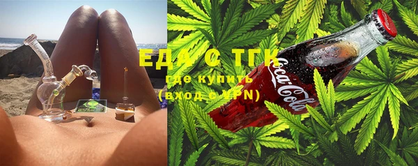 прущие грибы Елабуга