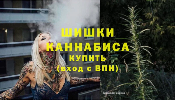 бошки Алексин