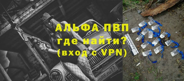 гашик Алексеевка