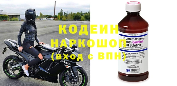 молекула духа Елизово